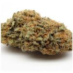 Шишки AK47 (Гидропоника, Бошка) VHQ в Беслане Шишки AK47 (Гидропоника, Бошка) VHQ в Беслане