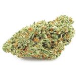 Шишки OG Kush (Гидропоника, бошки) VHQ в Беслане Шишки OG Kush (Гидропоника, бошки) VHQ в Беслане